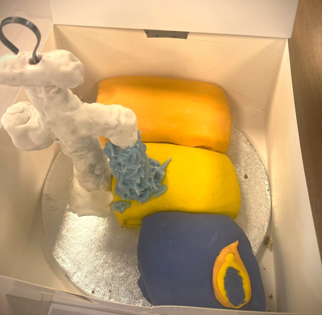 Brad's FMS cake