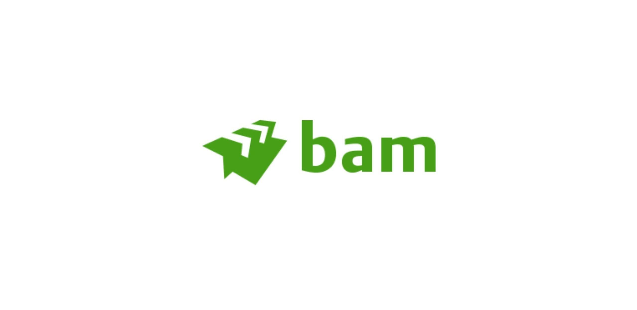 bam logo